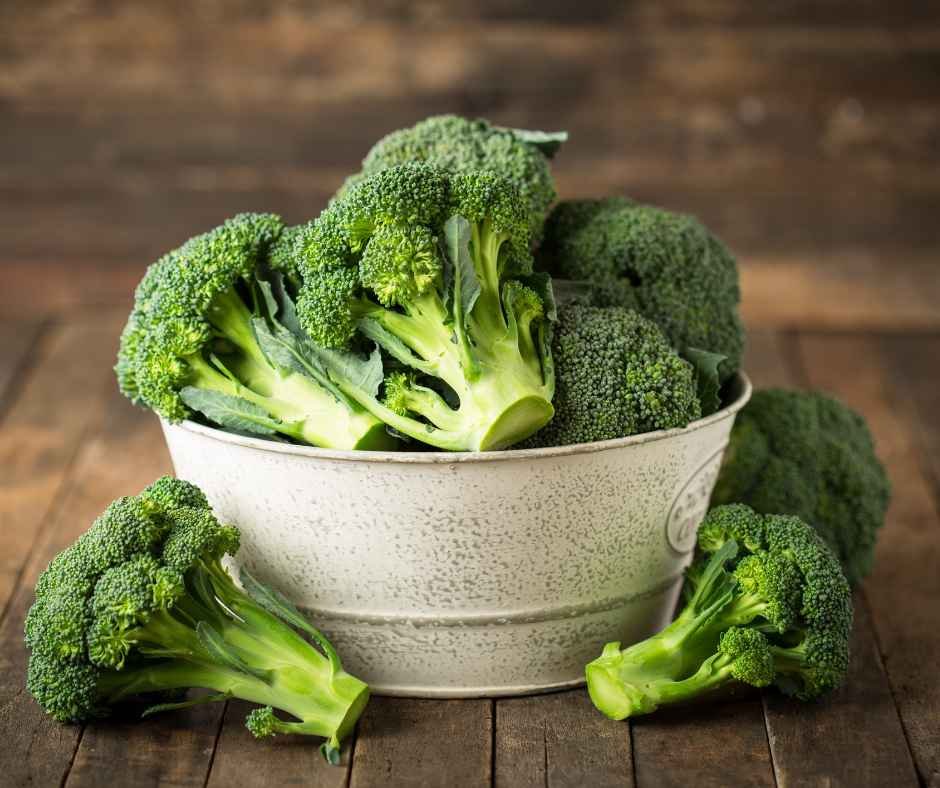 Broccoli Nutrition Guide: Calories, Carbs, Protein, Fiber & Benefits
